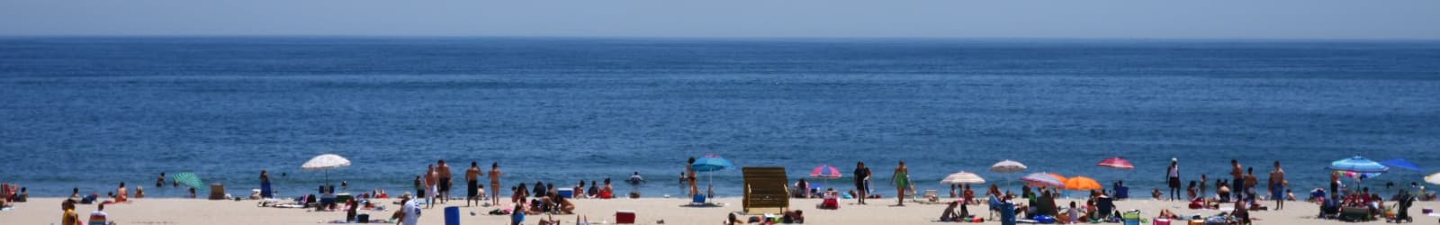 Pet friendly apartments in Belmar, New Jersey