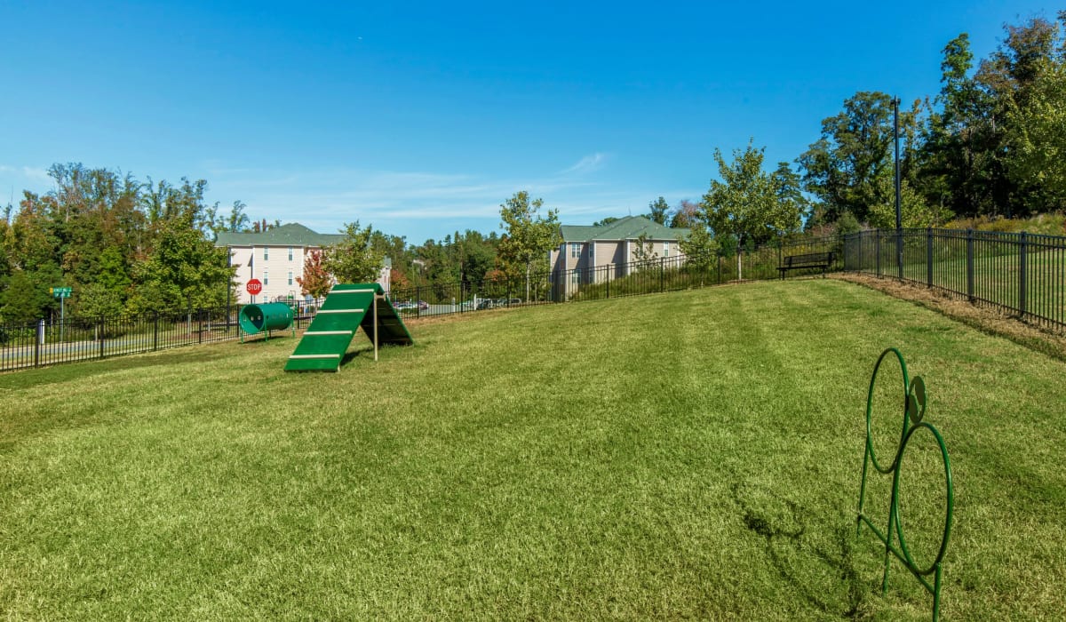 Dog park at Ashley Court Apartments, Charlotte, North Carolina