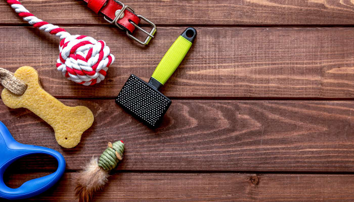 Beautiful pet friendly apartments in Houston, Texas