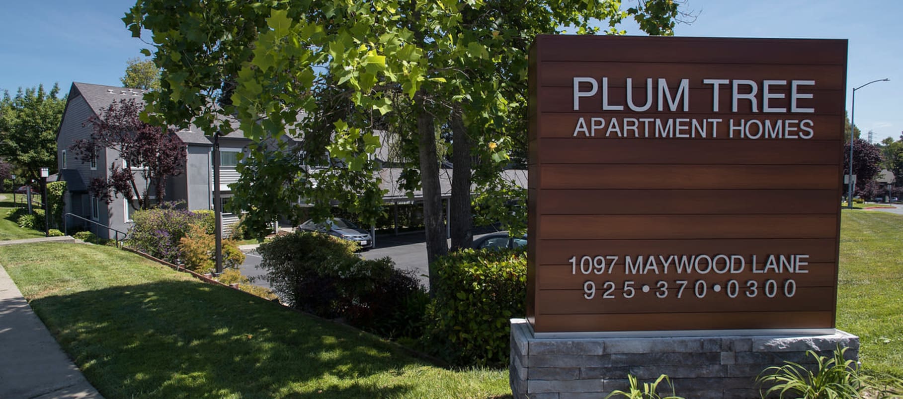 Photos of the Plum Tree Apartment Homes in Martinez, CA Photos of the Plum Tree Apartment Homes in Martinez, CA