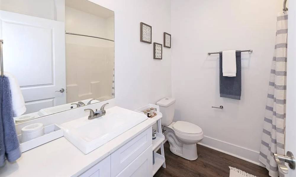 Bright bathroom with modern vanity, large mirror, and stylish decor accents at Everett at Port Wentworth in Port Wentworth, Georgia