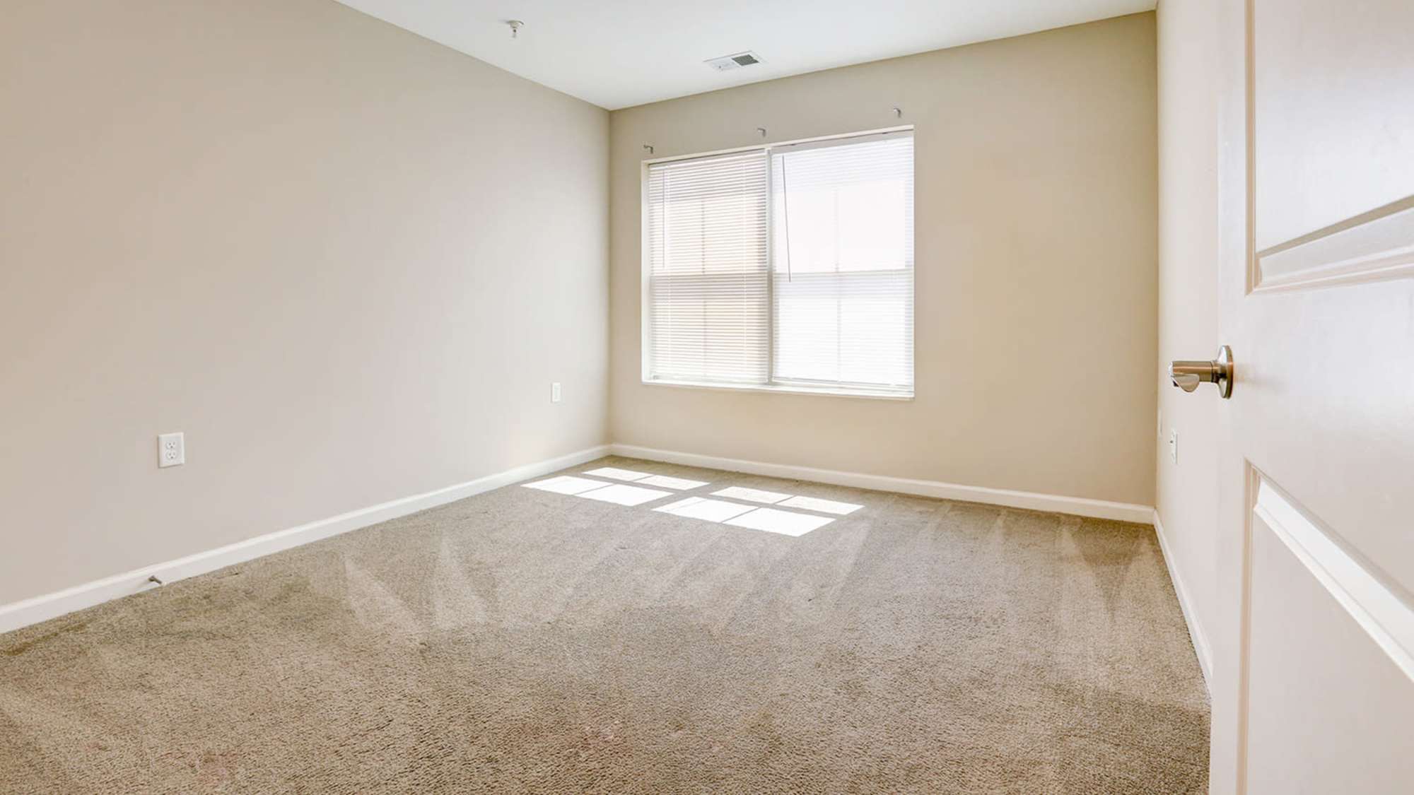 Spacious bedroom with carpet flooring and a window at Freedman Point in Hopewell, Virginia