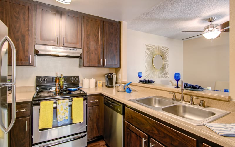 Renovated kitchen with stainless steel appliances and espresso cabinets at Lakeview Village Apartments in Spring Valley, California