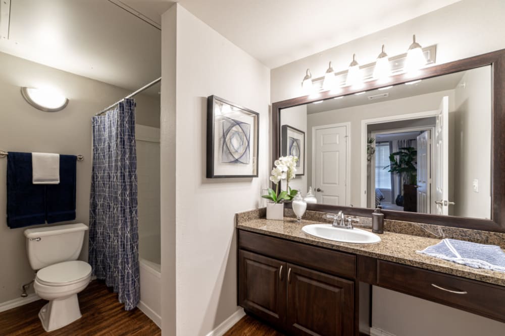 Spacious and bright bathroom with full bathtub at Marquis at Bellaire Ranch in Fort Worth, Texas