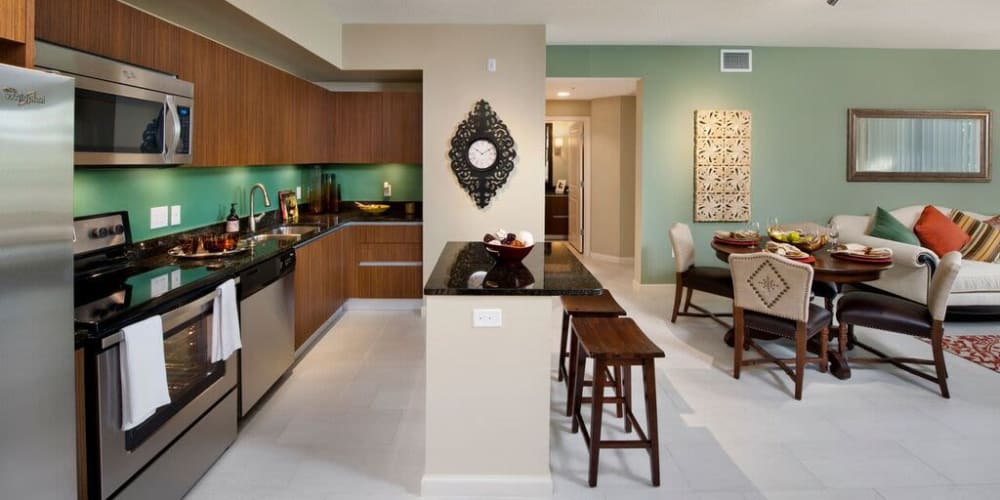 Chef-inspired gourmet kitchen with granite countertops in a model home at Doral View Apartments in Miami, Florida