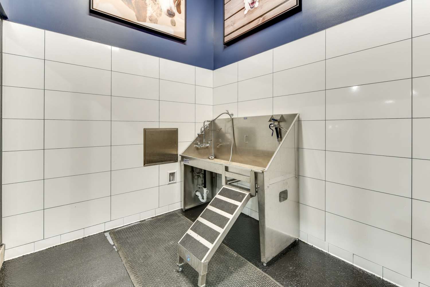 Resident dog enjoying at pet spa at  in Vancouver, Washington}} in Vancouver, Washington