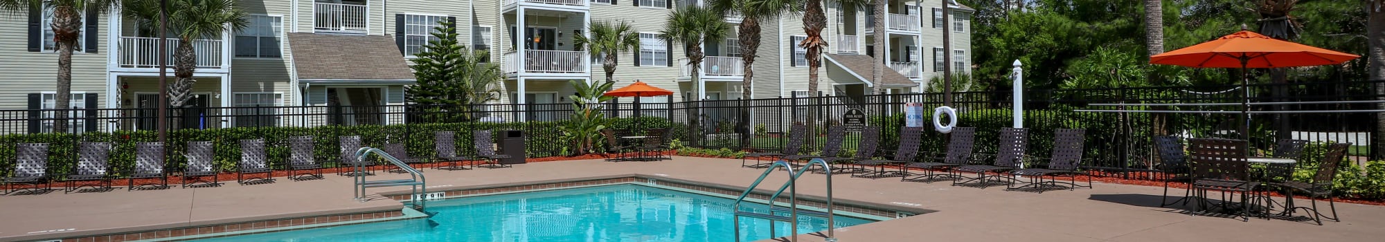 Pet friendly apartments in New Port Richey