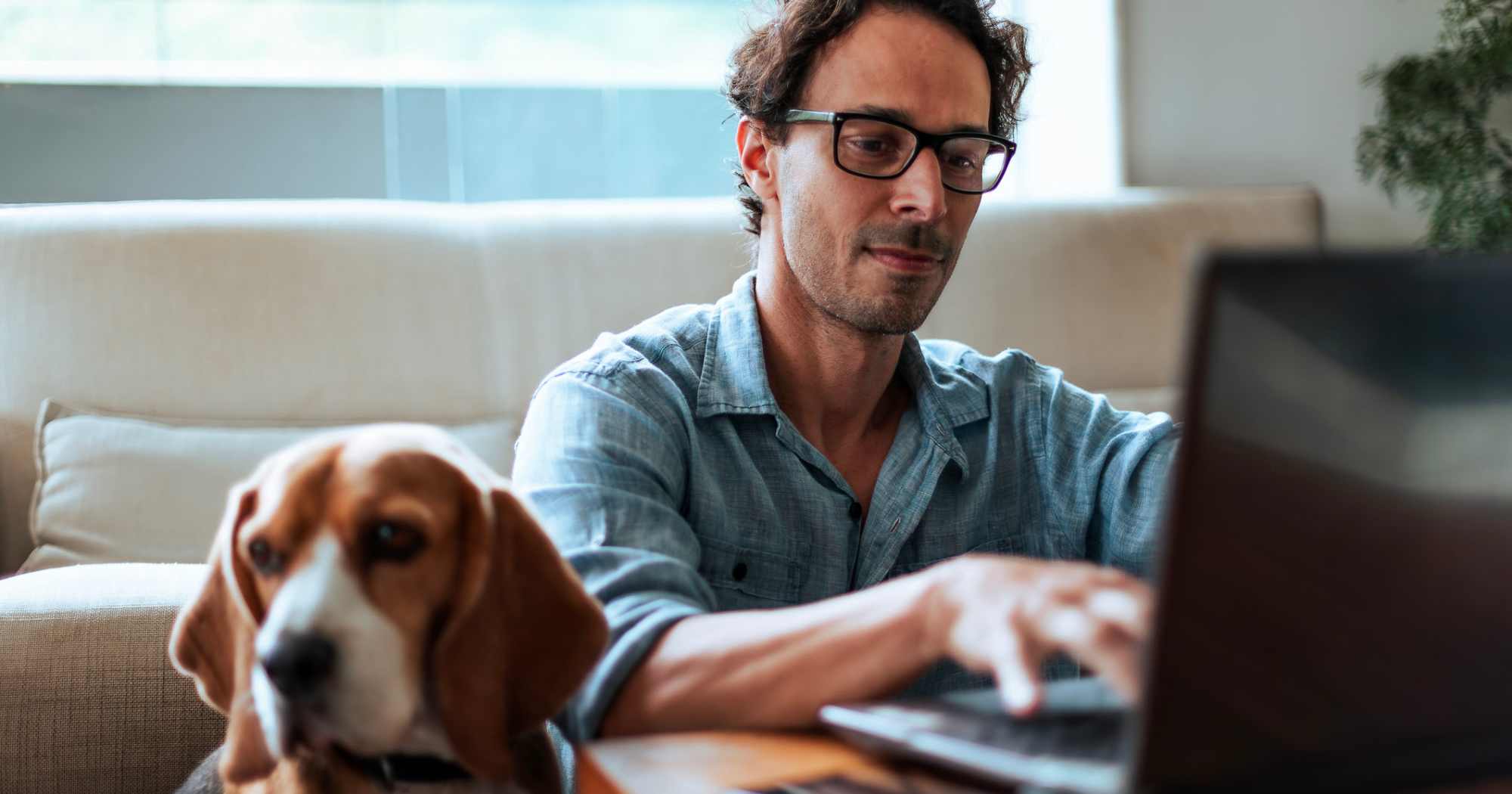 Apartments from HighGrove Apartments in Everett, Washington