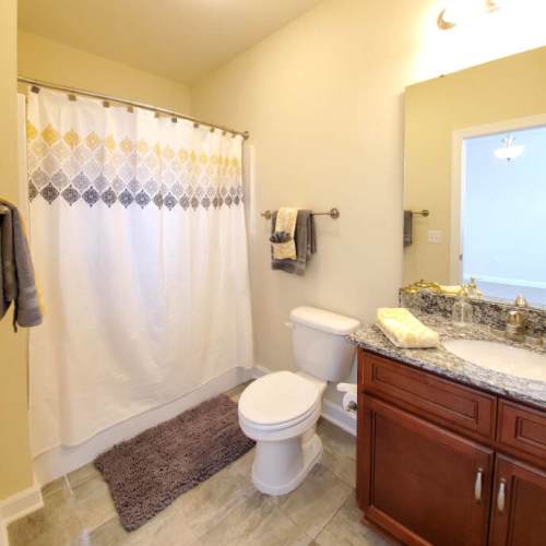 Bright bathroom with vanity, bathtub, and modern fixtures at Groves at Peach Orchard in Belmont, North Carolina