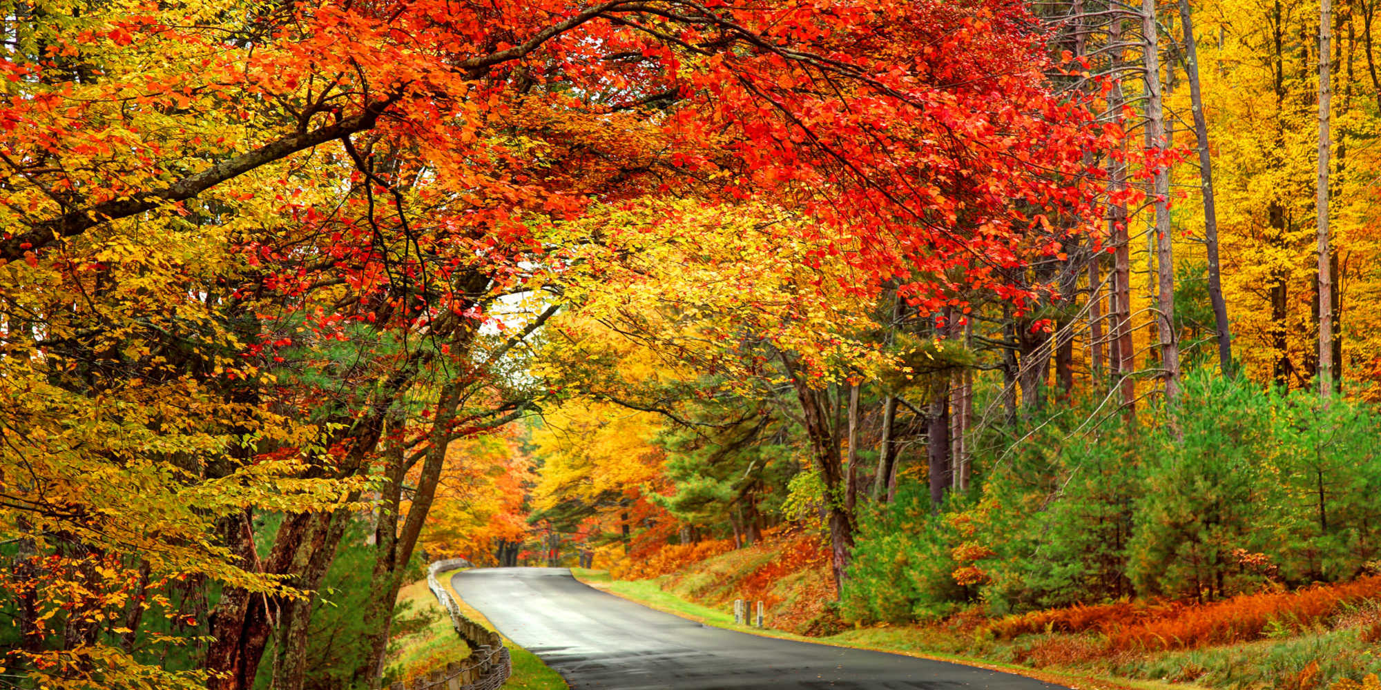Home at The View at Blue Ridge Commons in Roanoke, Virginia 