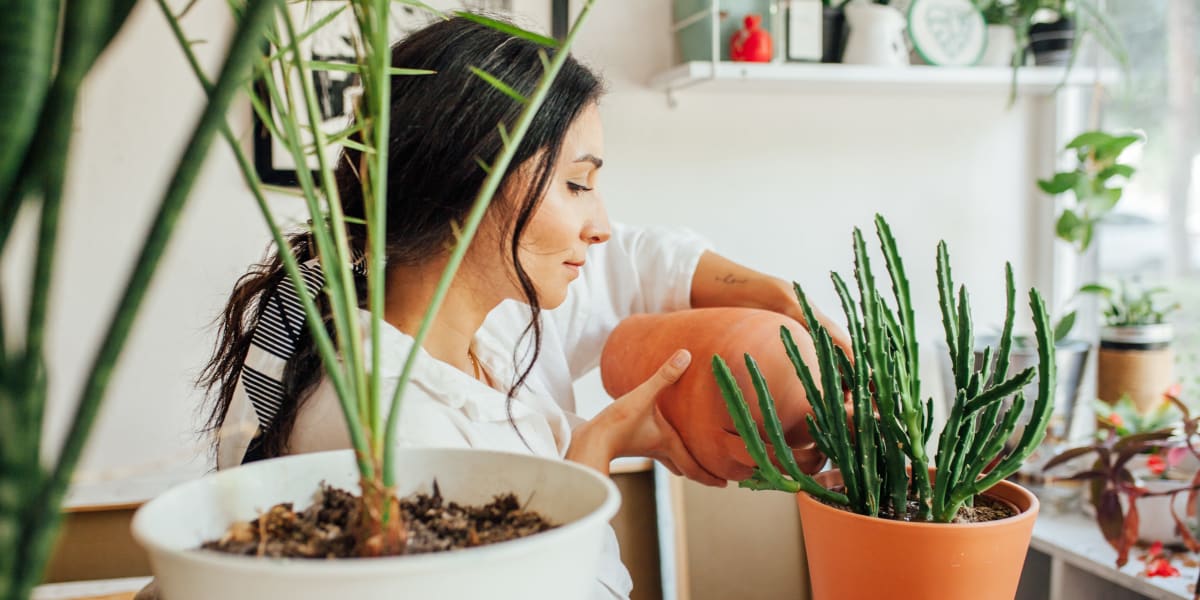 Resident watering plants at Marquis SoCo in Austin, Texas