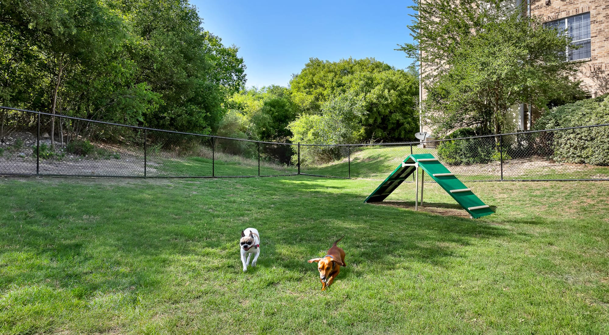 Dog Park at Stoneybrook Apartments & Townhomes in San Antonio, Texas