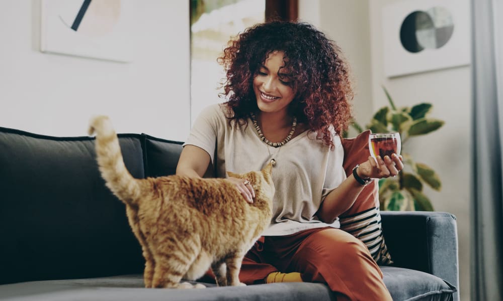 Cat and her owner relaxing on the couch in their apartment at Oaks Hiawatha Station in Minneapolis, Minnesota