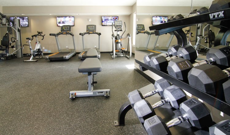 Stay healhty in the The Hills at Renaissance fitness center