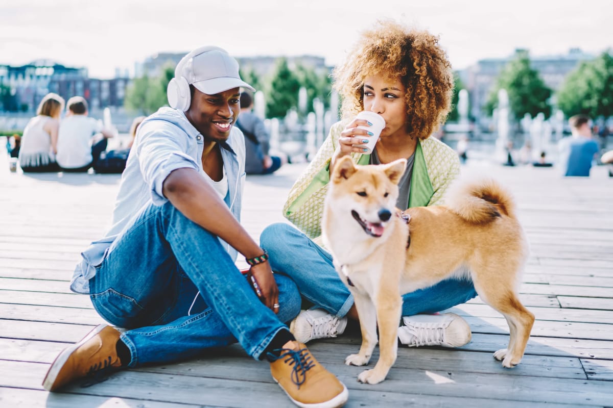 Residents at a park with their dog near 511 Meeting in Charleston, South Carolina