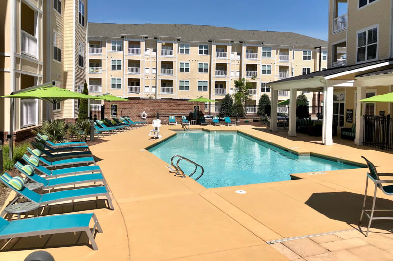 Resort-style swimming pool flanked by chaise lounge chairs and lush vegetation at Level at 401 in Raleigh, North Carolina