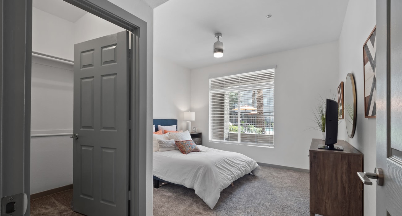 Bedroom with natural light at Citi on Camelback in Phoenix, Arizona