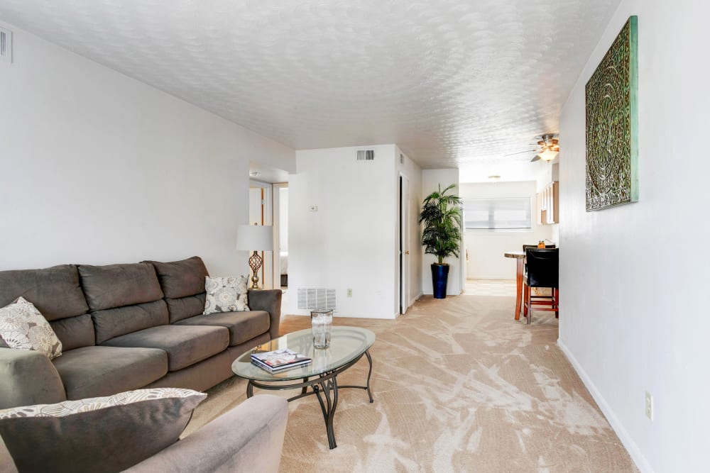 Living room with couch and plush carpet at Admiral's Way in Norfolk, Virginia