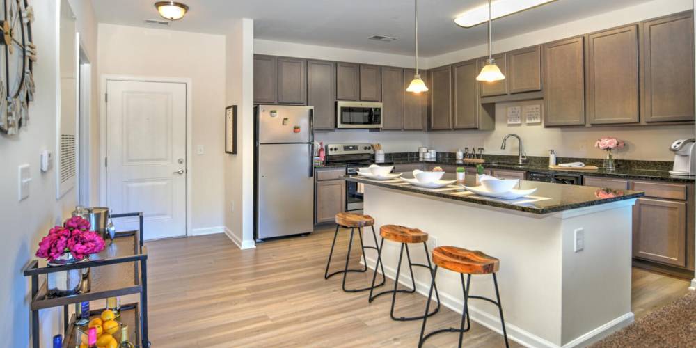 Modern kitchen with wooden cabinets, granite countertops and stainless-steel appliances at 10 Newbridge in Asheville, North Carolina