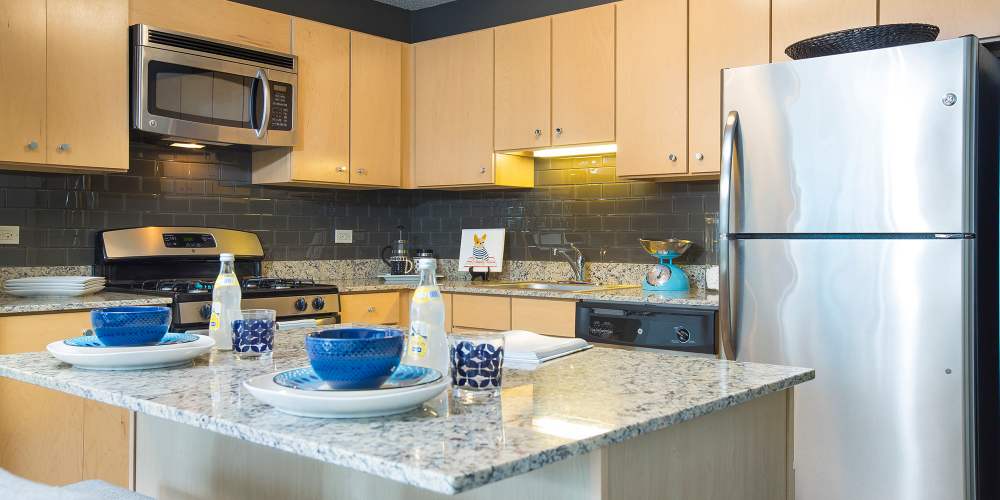 Apartment kitchen with stainless-steel appliances and wooden cabinetry at Aqua At Lakeshore East in Chicago, Illinois