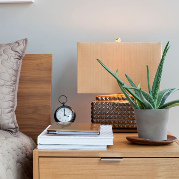 Bed side table with books and a plant at Parkside Apartments in Stockton, California