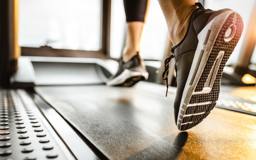 Well-equipped fitness center with cardio equipment at Woodbrook Apartment Homes in Monroe, North Carolina