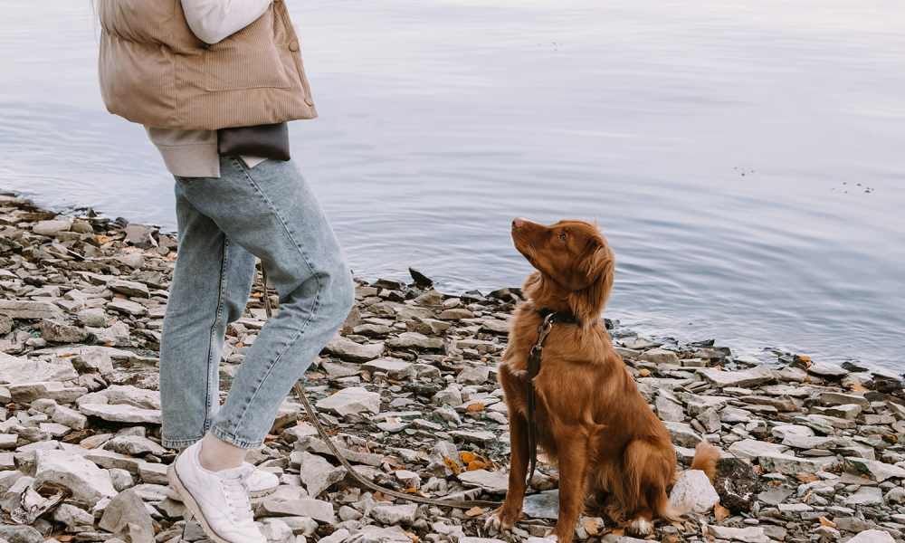 Resident buying groceries from the supermarket near Home Suites Apartments in Sparks, Nevada