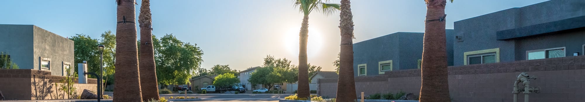 Floor plans at Avilla Grace in Chandler, Arizona