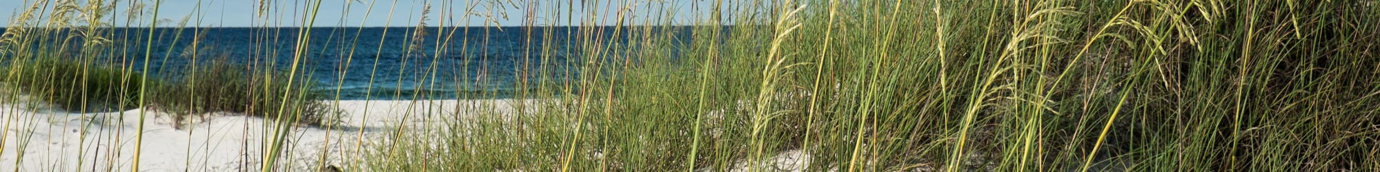 Reviews of Sailpointe Apartment Homes in South Pasadena, Florida