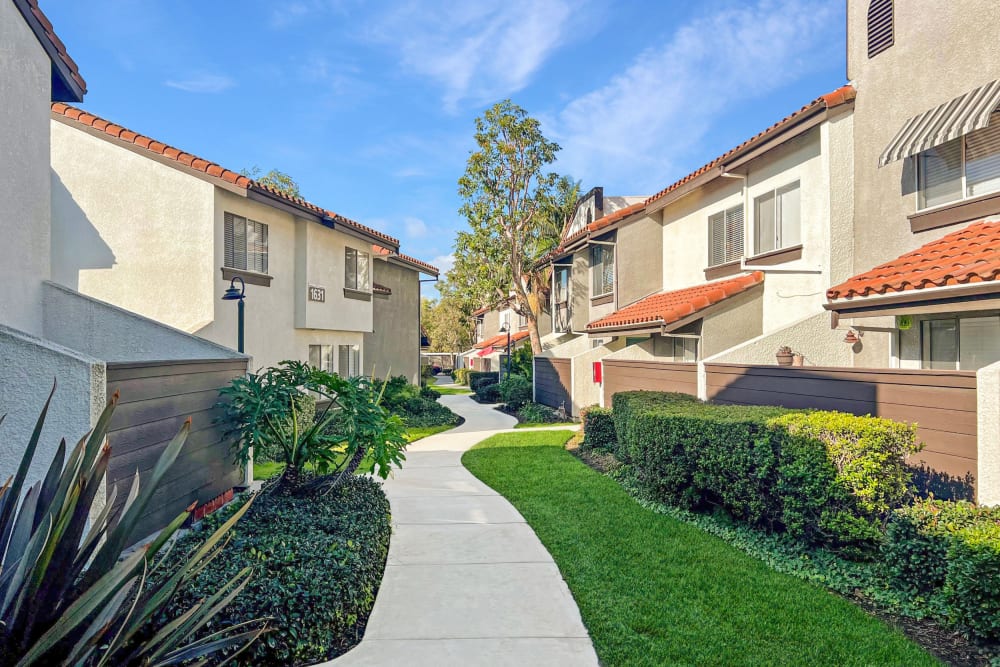 Beautiful landscaping between townhomes at Portofino Townhomes in Wilmington, California