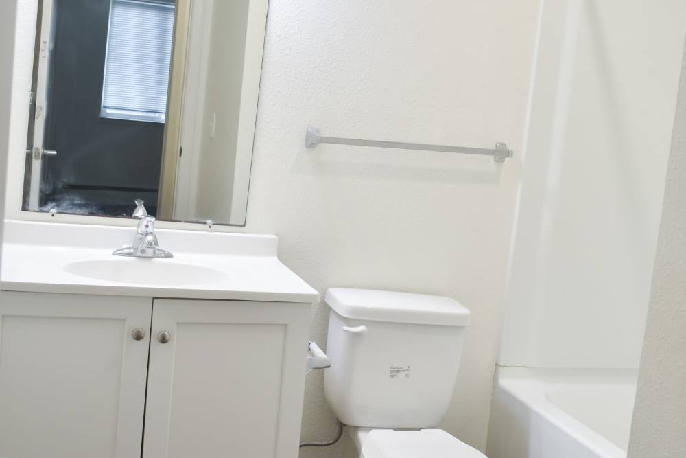 Bright bathroom with mirror, sink, commode and bath tub at Lakewood Apartments in Stockbridge, Michigan