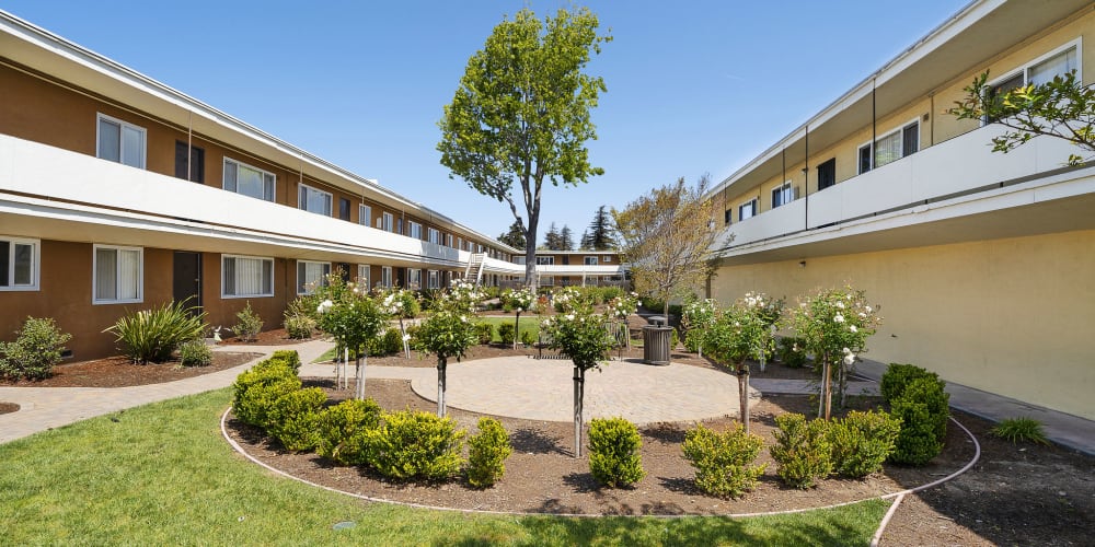 Pet friendly area at Garden Court Apartments in Alameda, California