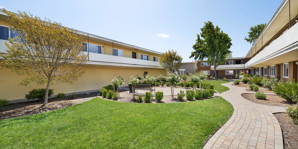 Outdoor grass area at Garden Court Apartments in Alameda, California