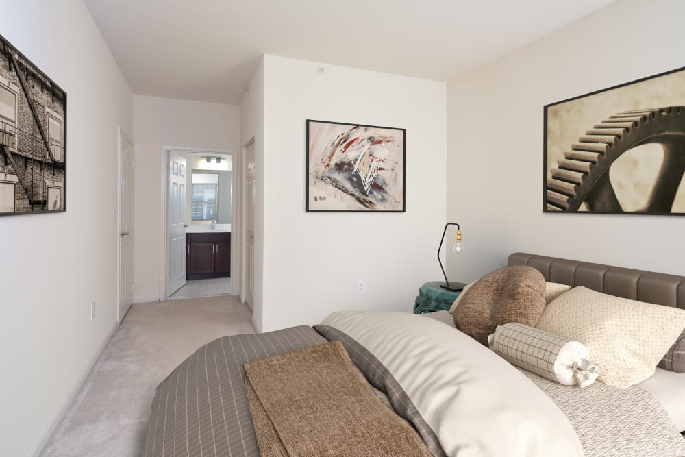 Large bedroom with plush carpeting and an ensuite bathroom at The Brunswick in New Brunswick, New Jersey