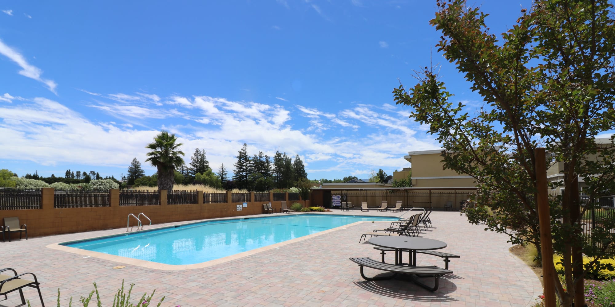 Pool at Briarwood Apartment Homes in Livermore, California