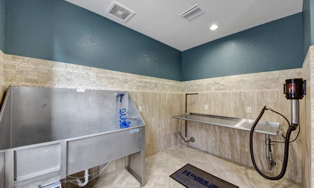 Community pet wash at The Courtney at Lake Shadow in Orlando, Florida 