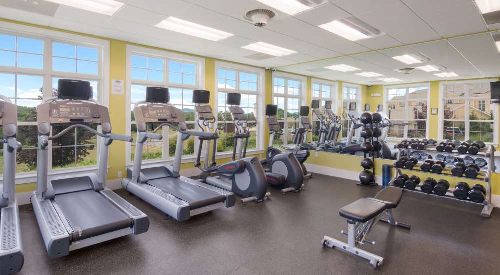State-of-the-art fitness center with various equipment at The Apartments at Goose Creek in Fishersville, Virginia 