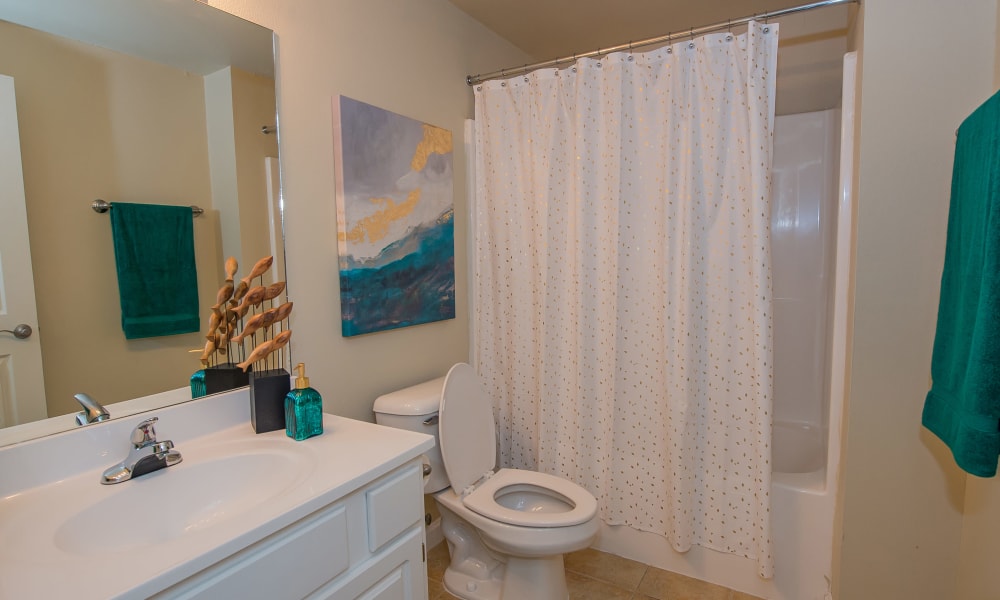 Bathroom at Lexington Park Apartment Homes in North Little Rock, Arkansas