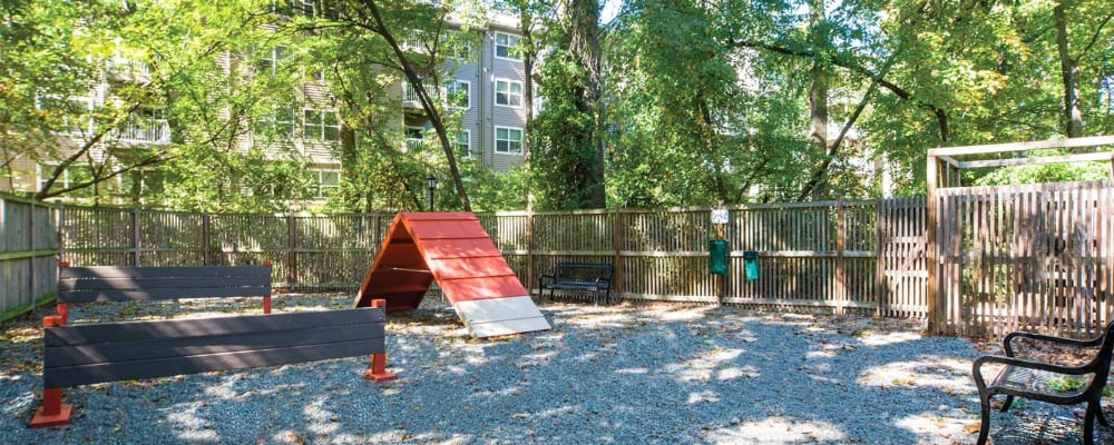 An outdoor dog park and agility course at Hunt Club in Gaithersburg, Maryland