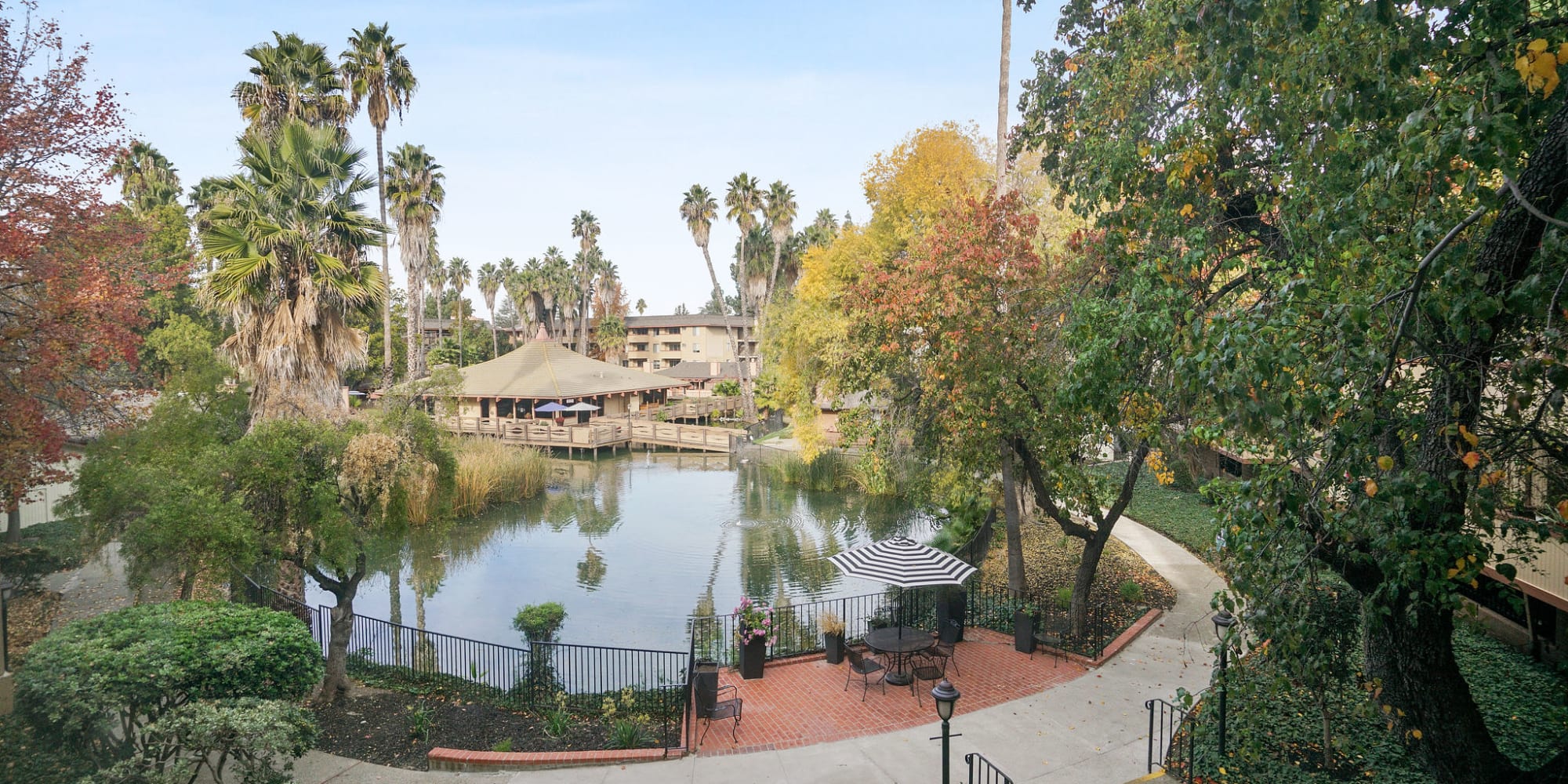 Courtyard view at Palm Lake Apartment Homes in Concord, California