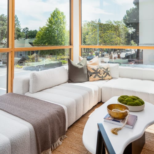 Living room with huge windows at Arbora Palo Alto in Palo Alto, California