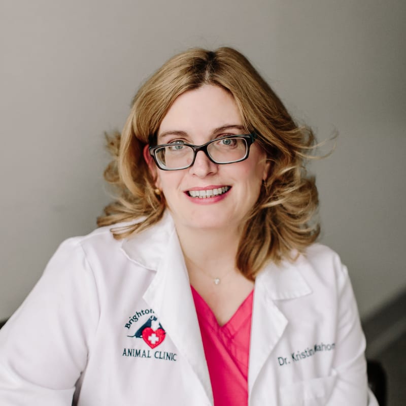 Kristin Mahoney, DVM and managing veterinarian at Tonawanda Animal Hospital