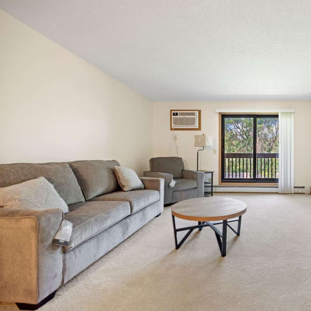 Living room with center table and patio sliding door at Solace on Lake Minnetonka in Spring Park, Minnesota