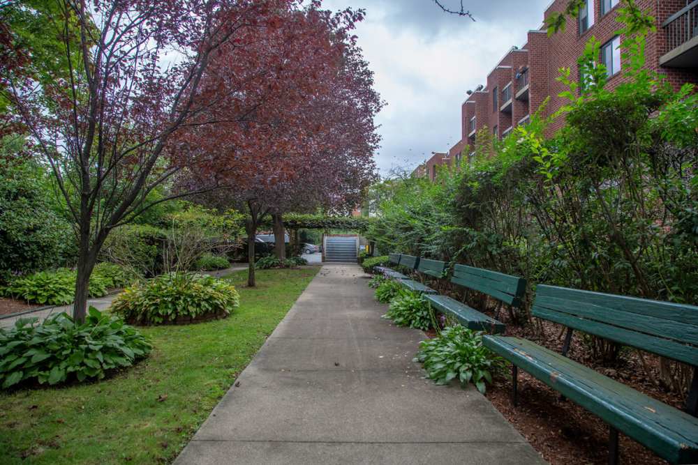 Pathway lined with benches and greenery at Victory Gardens in East Boston, Massachusetts