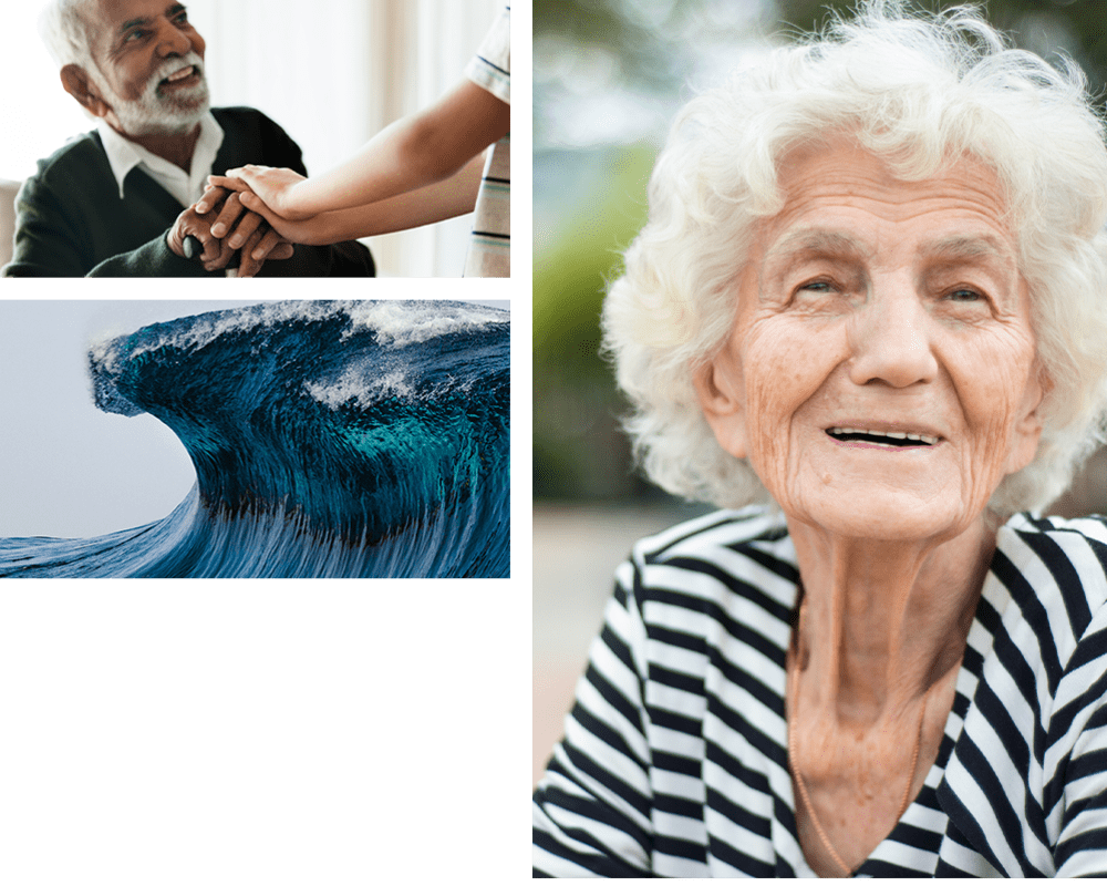 Collage of residents and plants at The Heritage of Clearlake in Houston, Texas