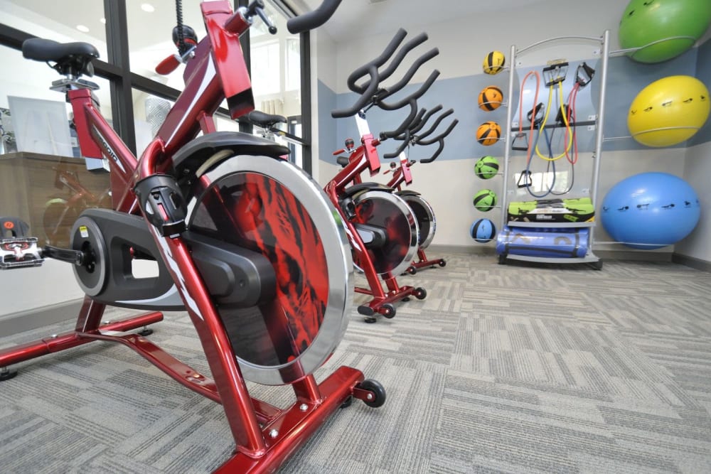 Bikes and exercise balls in the fitness center at Goldelm at The Views in Asheville, North Carolina