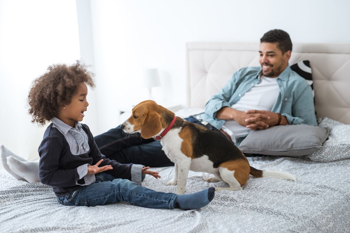 Residents sitting with their dog on a bed at Deer Valley in Guilderland, New York