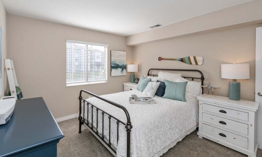 Bedroom with carpeting