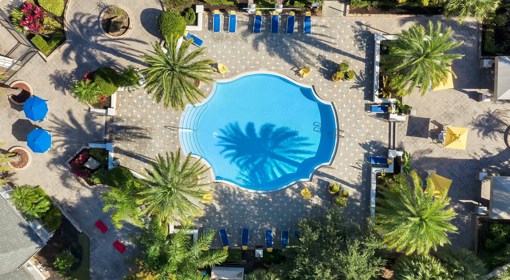 Gallery | Grandewood Pointe in Orlando, Florida