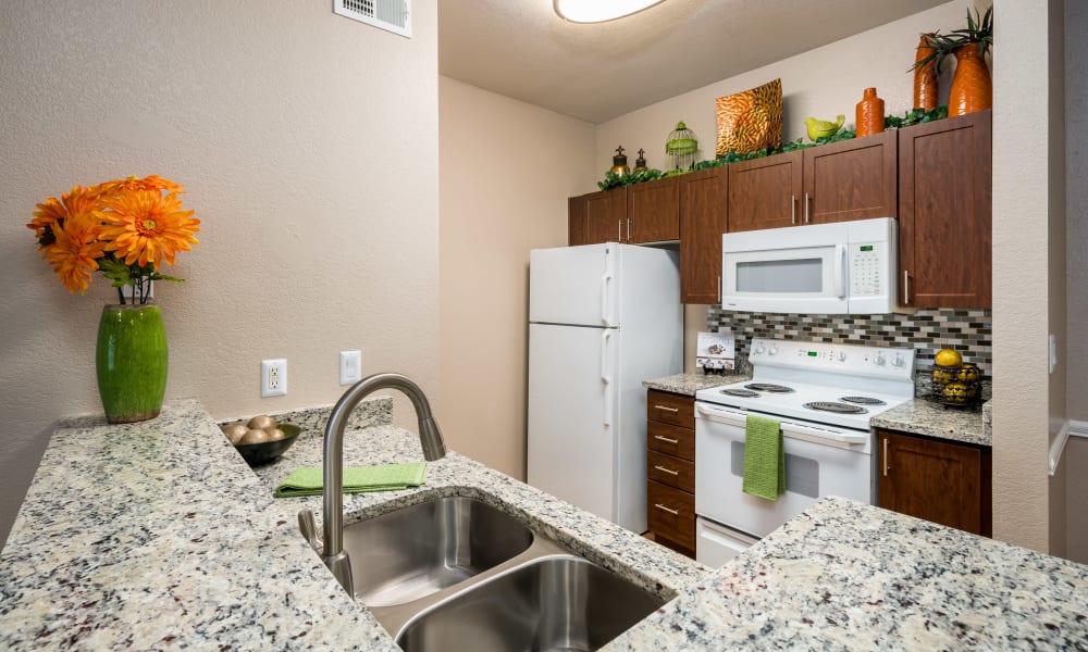 Granite countertops and white appliances in a kitchen at Crescent Cove at Lakepointe in Lewisville, Texas